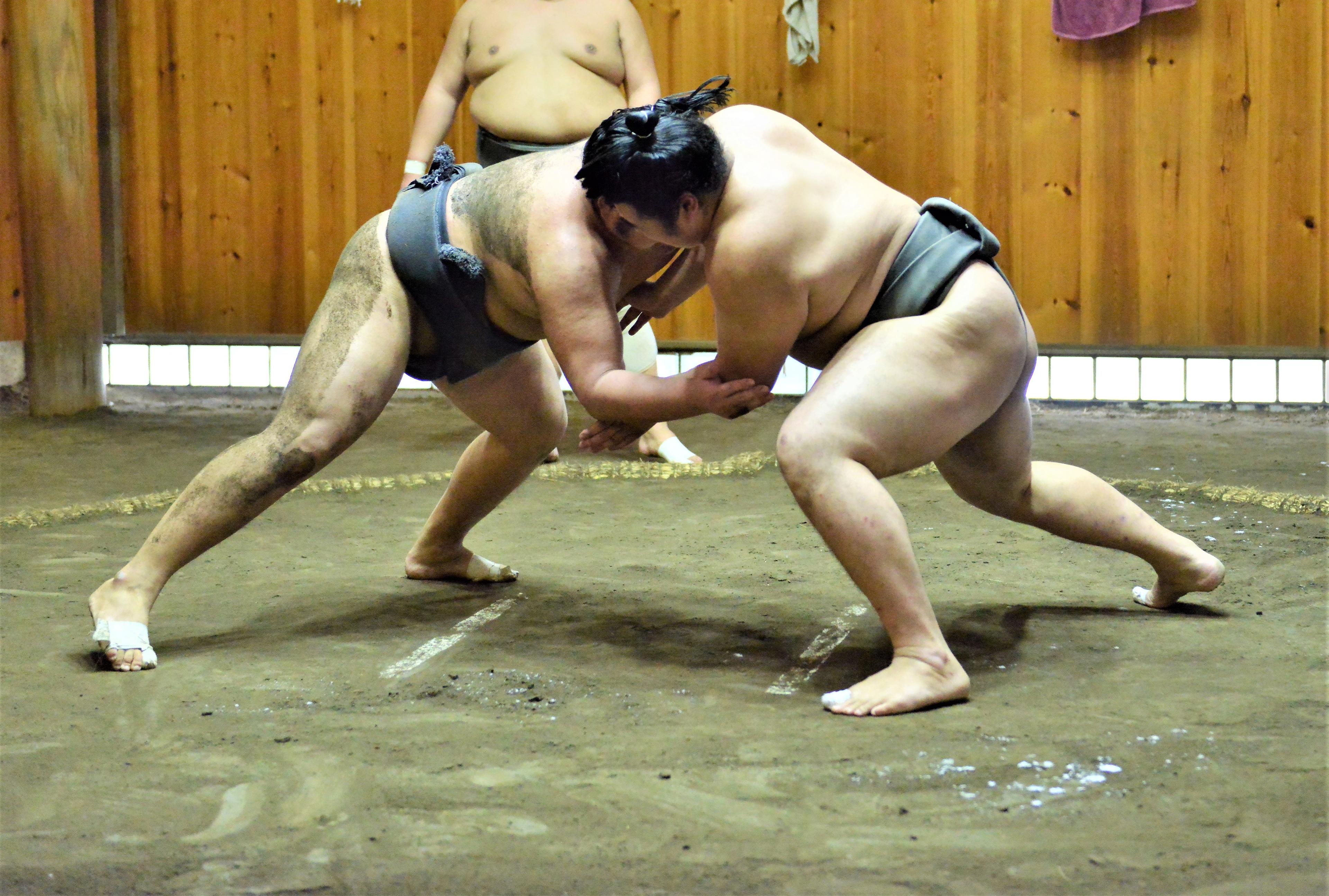 Tokyo Sumo Experience thumbnail