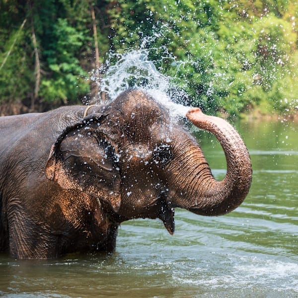 Thailand Adventure: From hill tribes to island-hopping