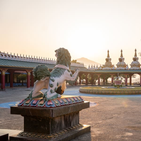 Nepal with locals: Himalayan heights and Buddha nights