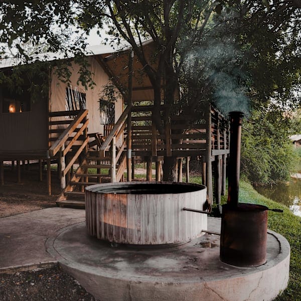 South Africa road trip: Wild Kruger and Cape Town