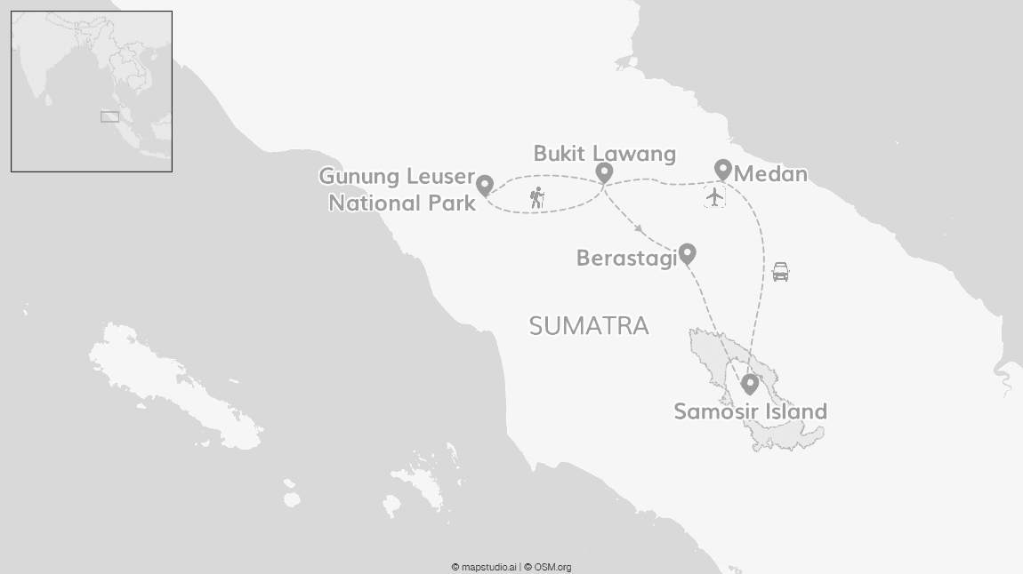 Wild Sumatra: Hangin' with orangutans!